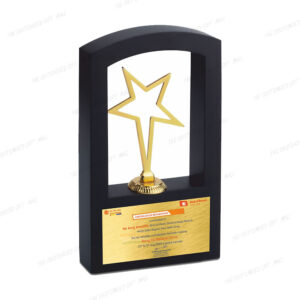 Elite Gold Star Recognition Trophy - Metal Trophy (10inch)