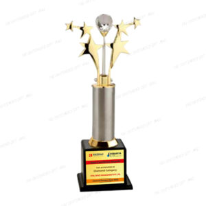 An Icon of Grandeur and Distinction - Premium Metal 6-Star With Crystal Ball Trophy (Gold, 13")