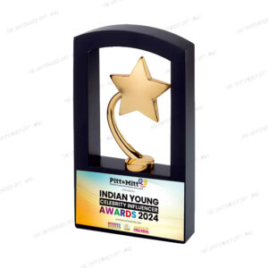 A Timeless Tribute to Excellence - 10-Inch Star Premium Metal Trophy