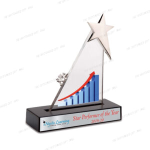 A Dazzling Tribute to Excellence - Premium Star Performer Trophy (8inch)