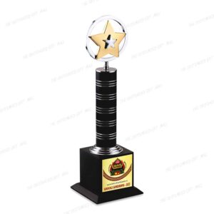 A Grand Tribute to Brilliance, Dedication, and Achievement - Premium Star Trophy (14 Inch)