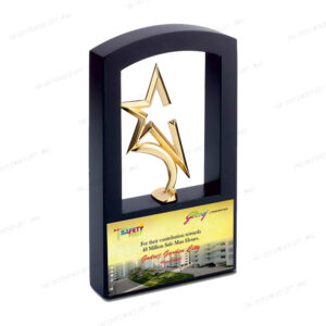 Premium Metal Award for Outstanding Achievement - 10 Inch Gold Star Trophy