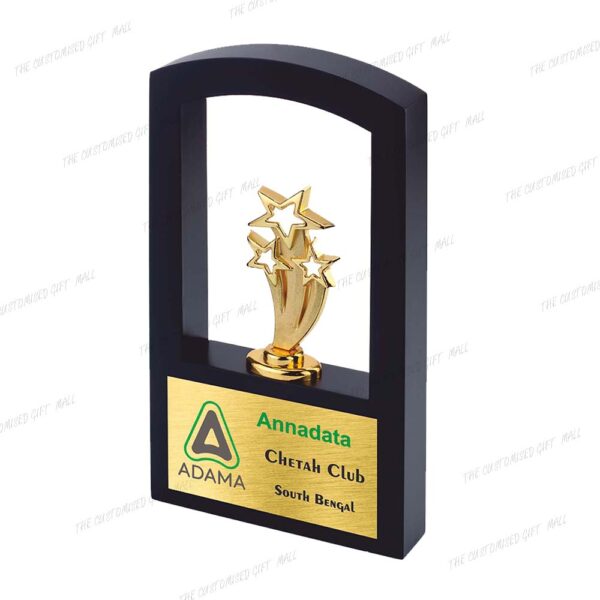 Celebrating Outstanding Achievement with Style and Elegance - Premium 3 Star Performer Trophy (10 inches)