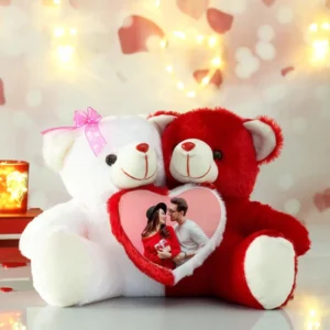 Forever in Your Arms : Couple's Teddy Bear Pillow