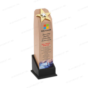 Steam Beech Dual-Tone Star Trophy – 12 Inch