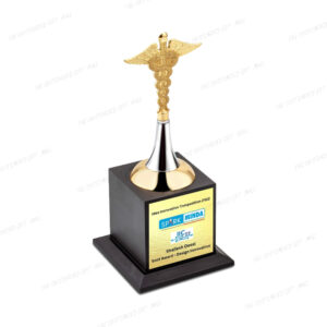 Precision, Prestige, and Power in One Symbolic Award - Dr. Metal Trophy 9"