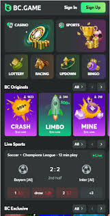 Exploring BC.Game Crypto Casino A Guide for Enthusiasts
